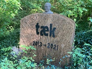 Tækket gravsten