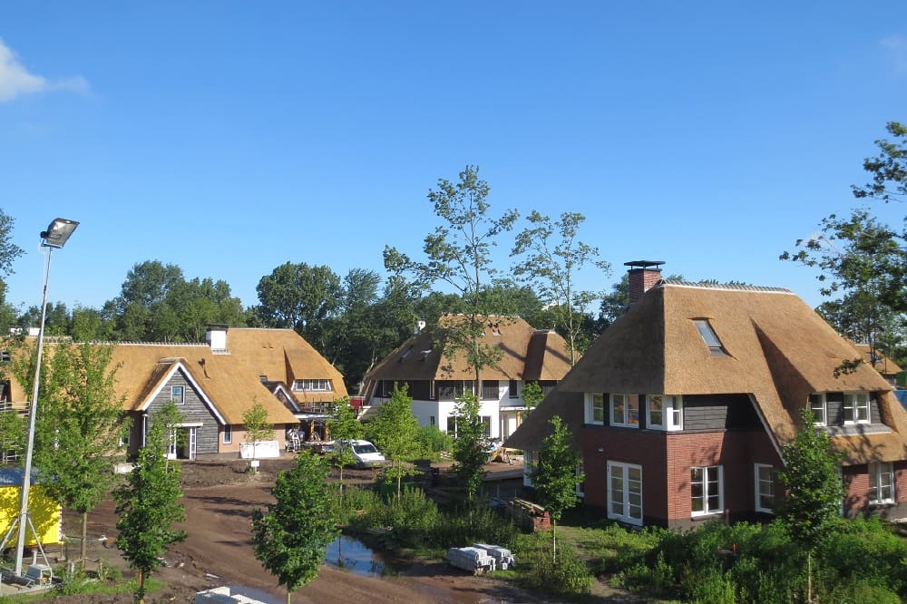 Stråtækte villaer i en typisk forstad i Holland.