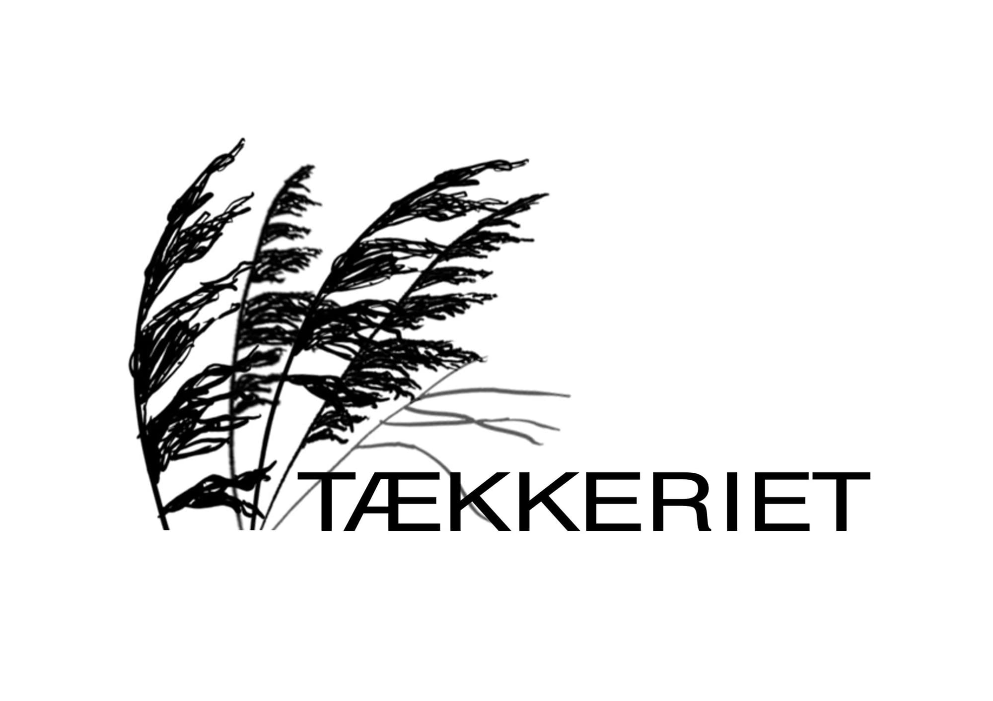 Tækkeriet v. Kåre Bang