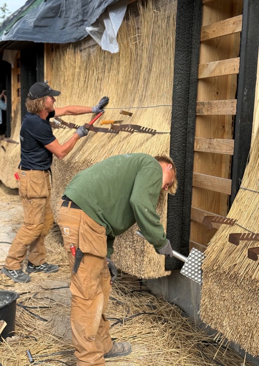 Miscanthus crete lagt ud som brandsikring og isolering