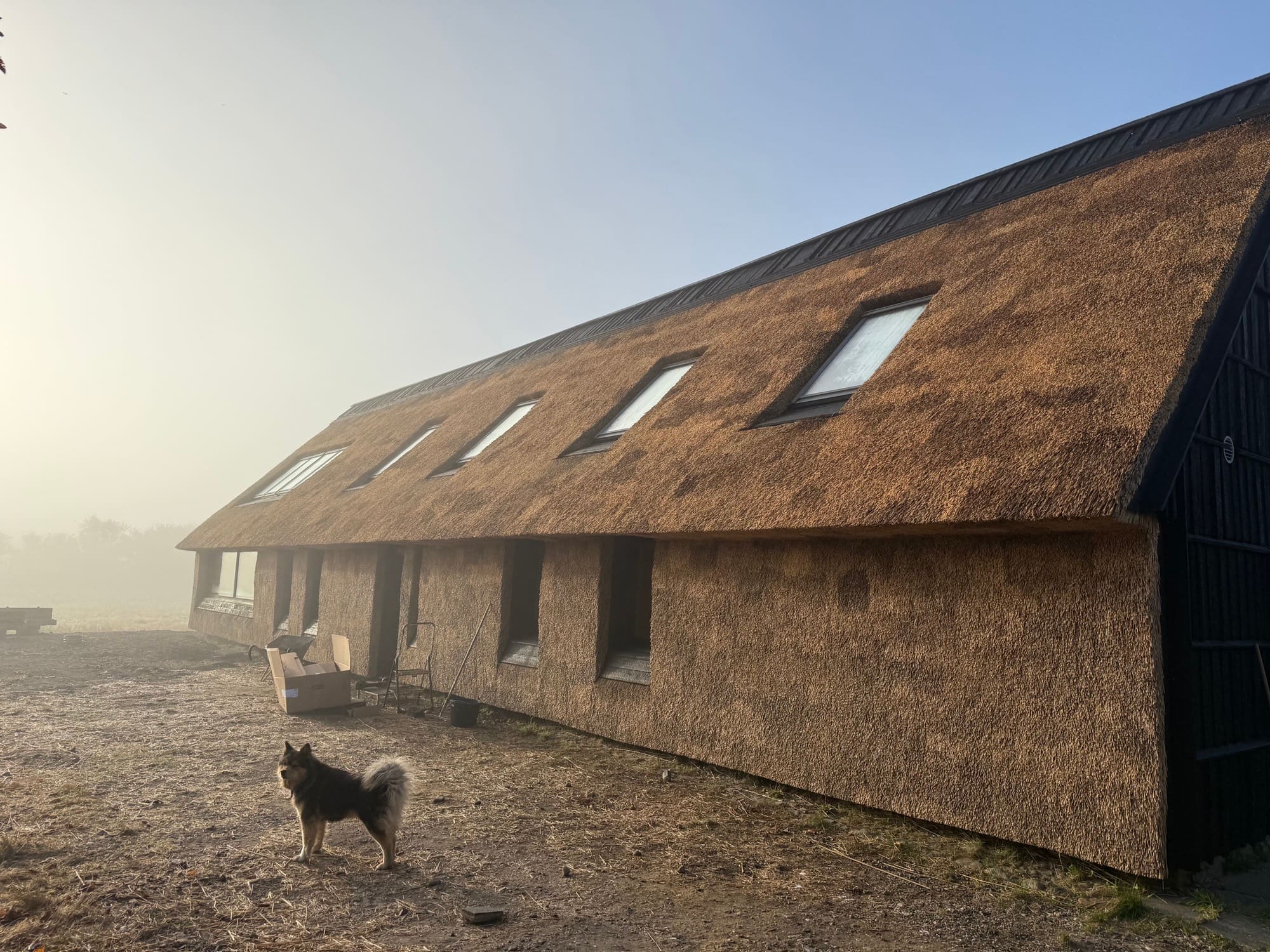 Det færdige stråtækte hus set fra haven