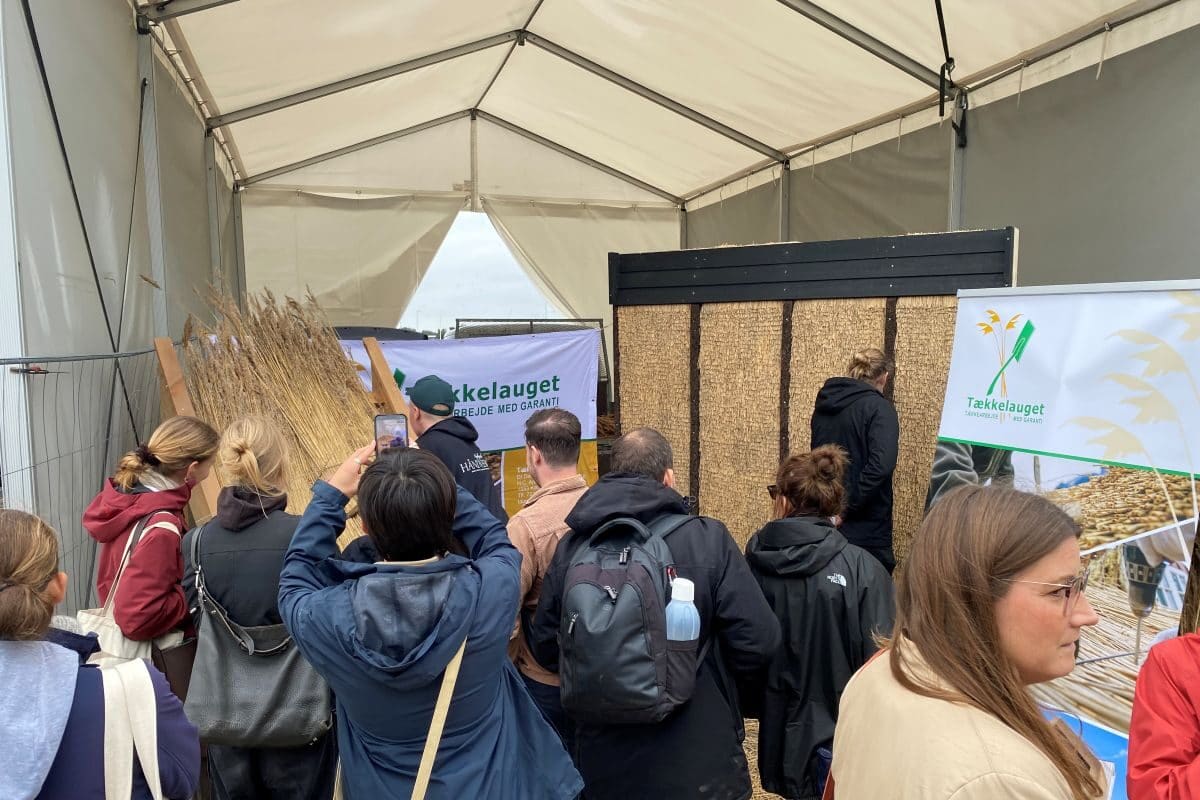 Tækkelaugets stand med strå på AFTRYK Festival i Travbyen, Billund