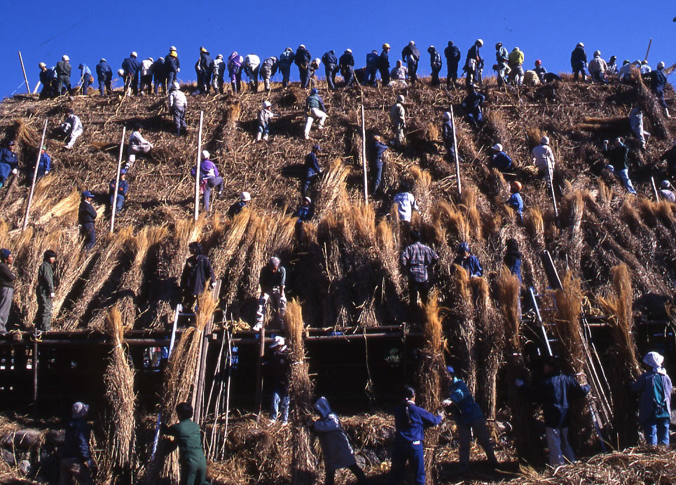 For 15 år siden var der 100 mand om at tække dette hus. Dermed blev en af Japans gamle traditioner om at tække en sådan tagflade på én dag holdt i live.