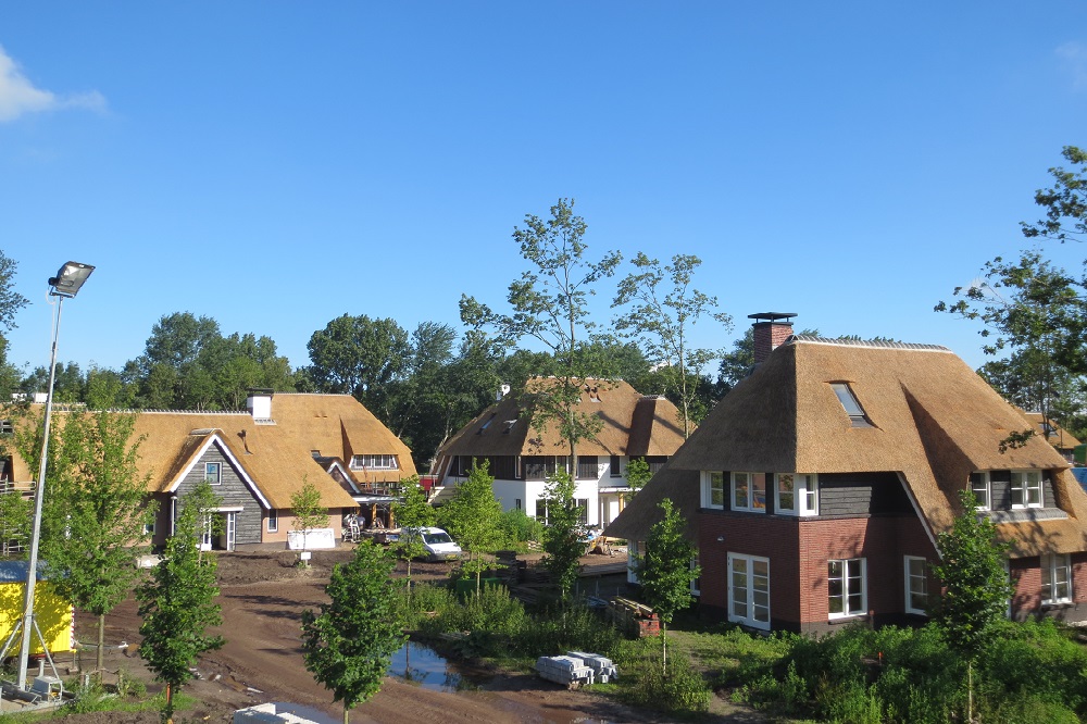 Stråtækte villaer i en typisk forstad i Holland. 